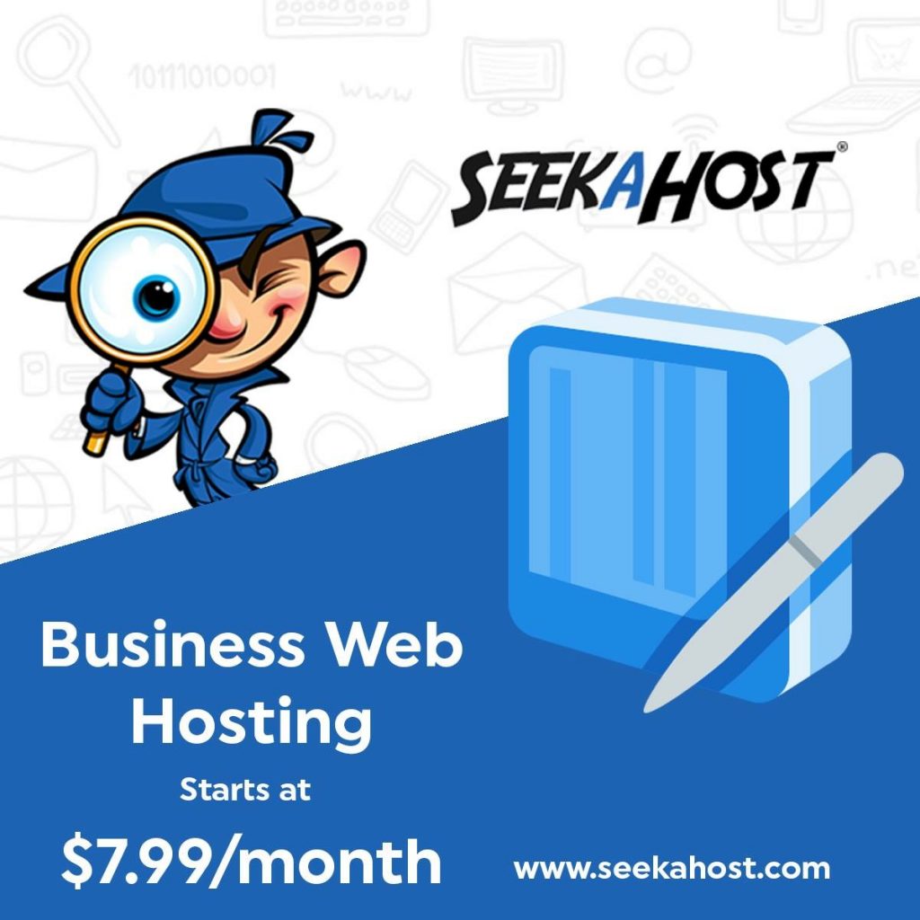 Business Web Hosting from SeekaHost