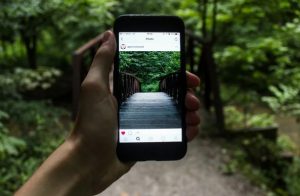 Instagram posts perform best on Friday