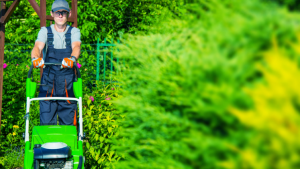 Lawn mowing or gardening