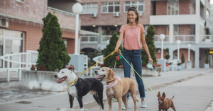 Pet sitter