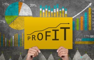 Profit and Turnover types