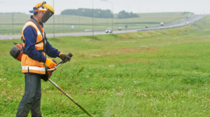 Yard Worker