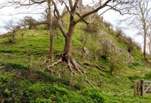 Castle of Corfe