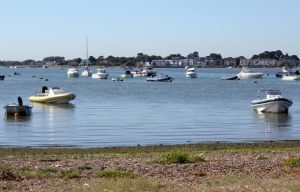 Mudeford Cabbing