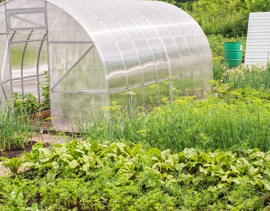 Plastic Greenhouse