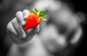 Strawberry Malling Opal Plants