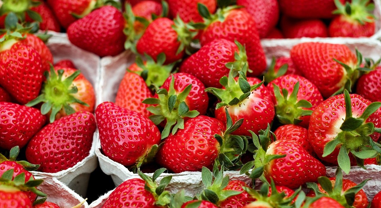 Strawberry Plants