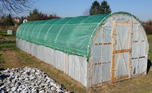 Where Should My Greenhouse Be Located