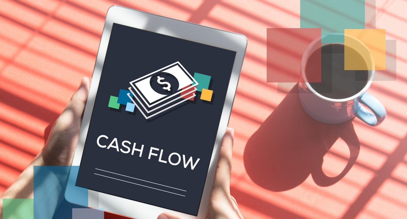 what is net cash flow