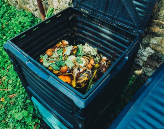 How Will Professionals at Rubbish Removal London Help You With Garden Waste Clearance
