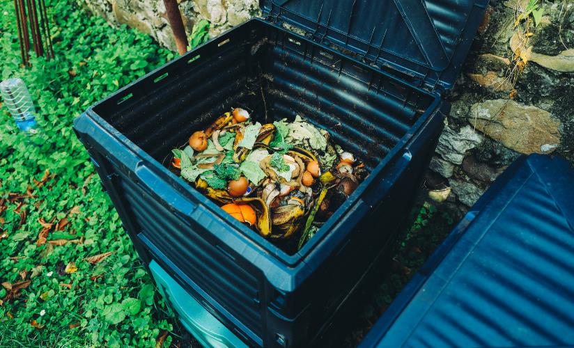 How Will Professionals at Rubbish Removal London Help You With Garden Waste Clearance