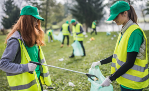 What Is the Proper Way to Take Out Waste