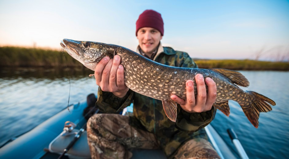 Go Fishing in London