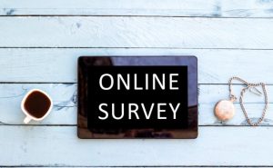 Take online surveys