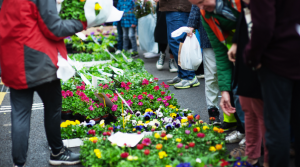 Fill your arms with flowers from Columbia Road Flower Market