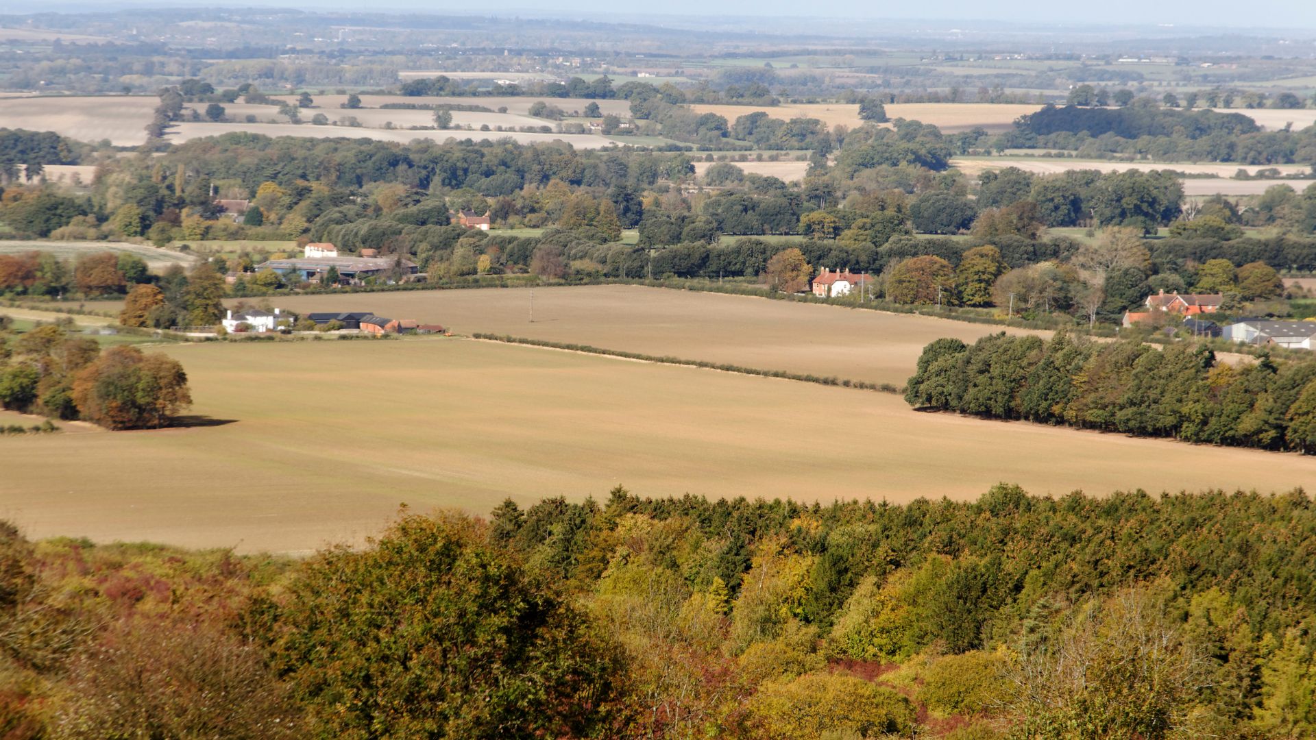 Day Trip to The Cotswolds from London London Business Mag