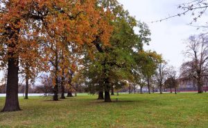 Kensington Gardens is full of delights