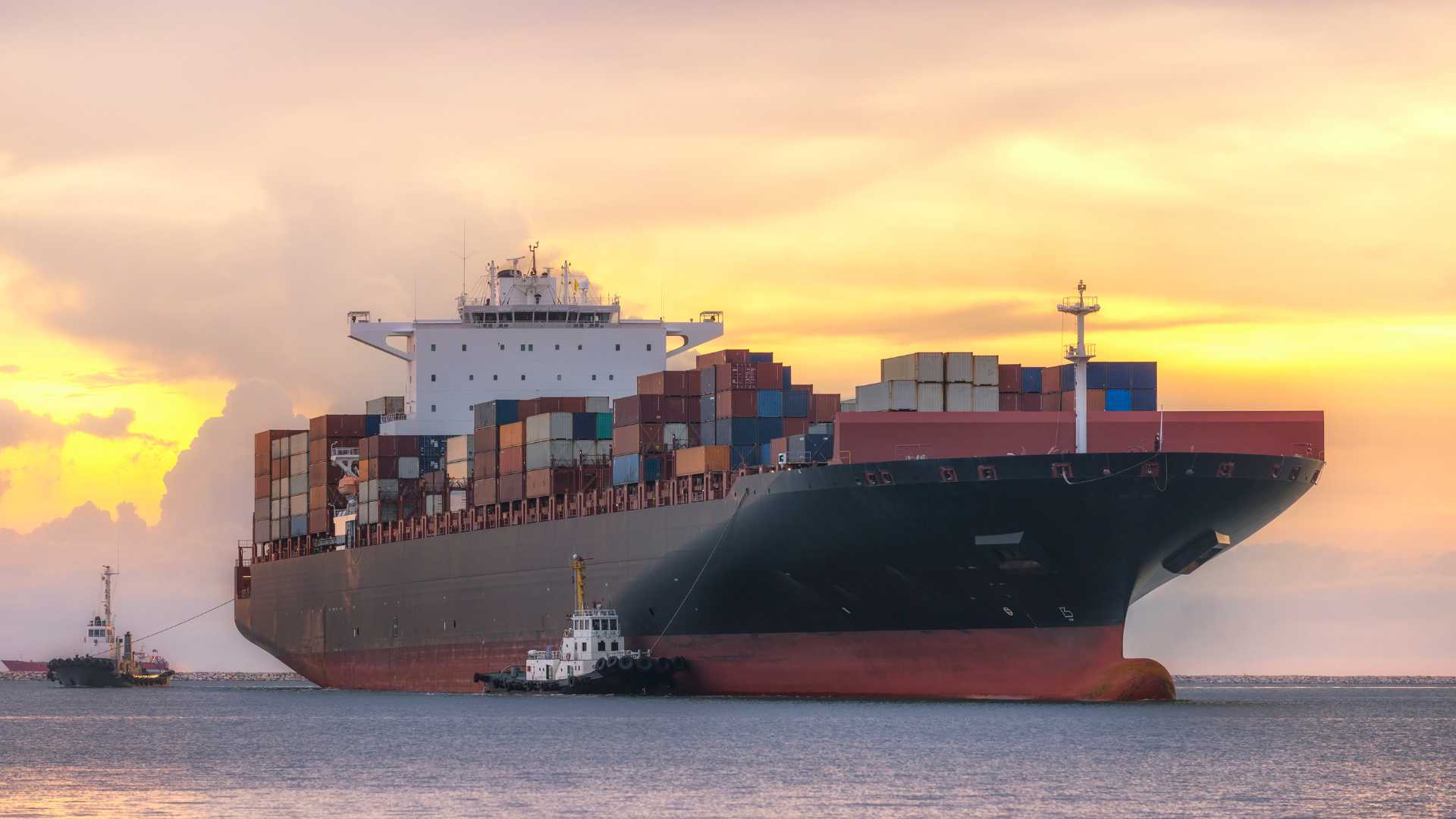 Shipping Companies London Top 10 Shipping Services London Business Mag