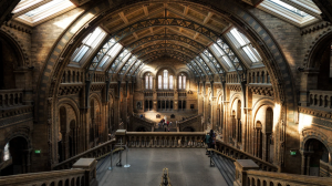 Visit London Museums That Appeal to Teens