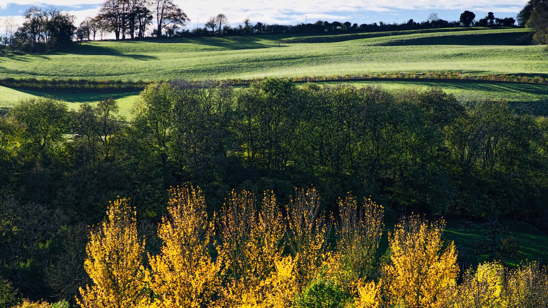 Day Trip to The Cotswolds from London London Business Mag