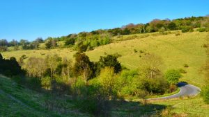 Box Hill