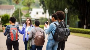 Free Street Art Tour