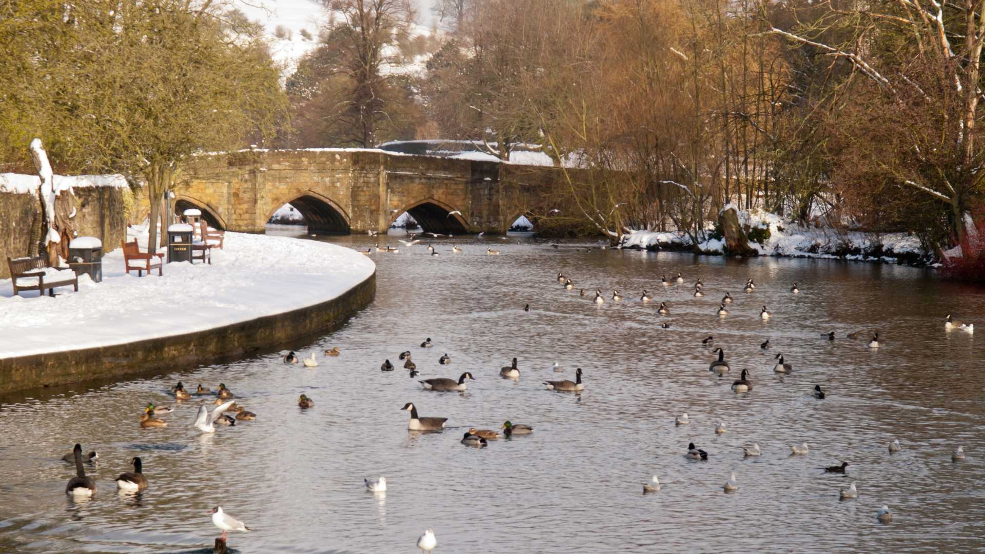 Bakewell