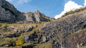 Cheddar Gorge, Somerset