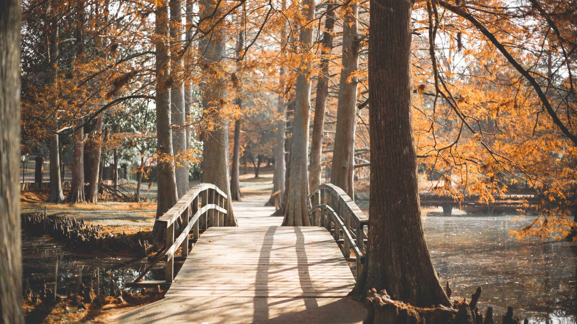 Kent in Autumn