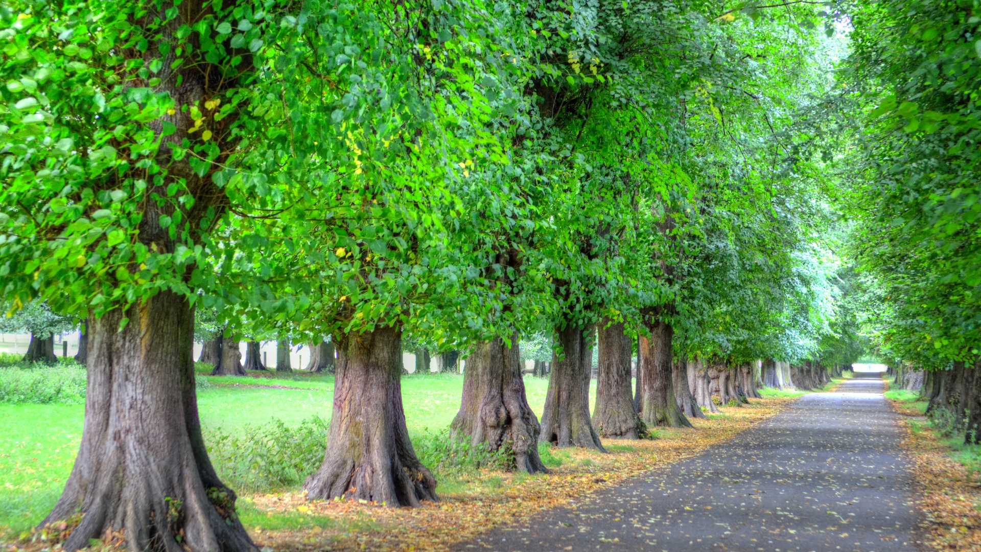 Nottingham in Autumn