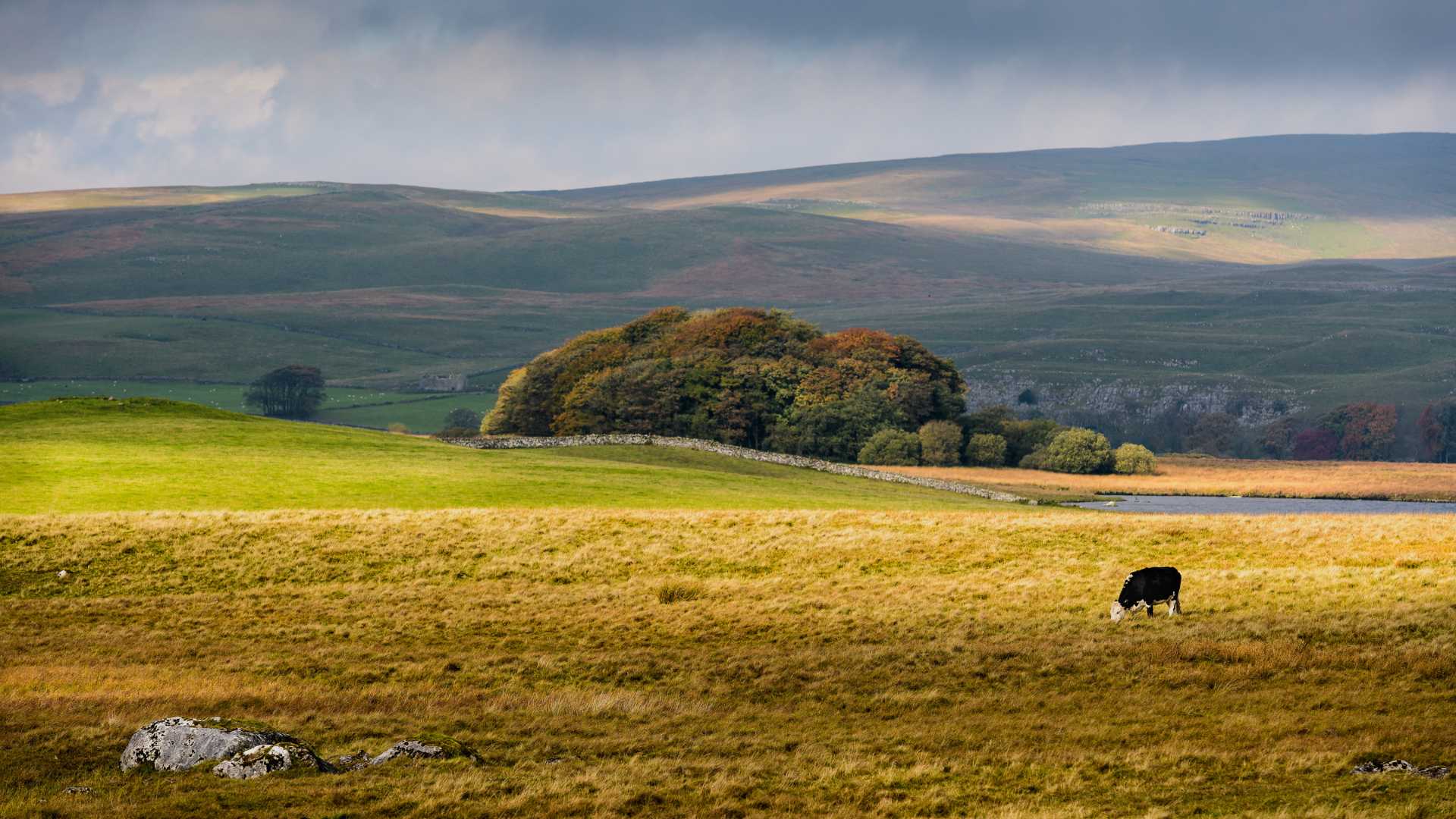 Yorkshire Dales in Autumn