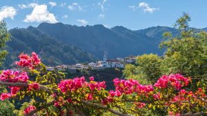 Madeira - Portugal