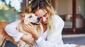 Benefits of Having an Animal Health Certificate