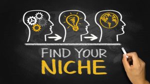 Understanding your niche