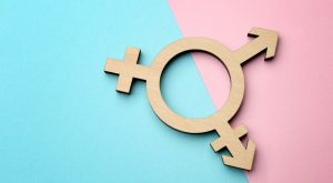 What is the International Best Practice in Gender Recognition