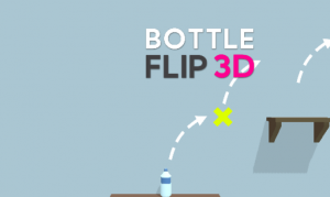 Bottle Flip 3D