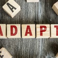 Adapting Company Culture for 2024