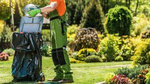 Assess and Clean Your Garden