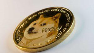 Understanding the DOGE phenomenon