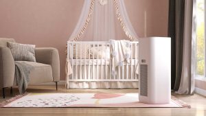 How Does Immediate 2000 ProAir Improve Indoor Air Quality