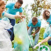 Clearabee Top Picks - 10 UK Alternatives for Domestic &; Commercial Waste