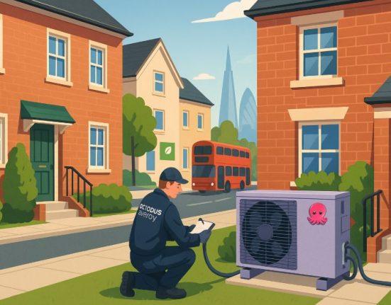 octopus energy heat pump ad banned
