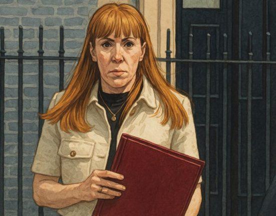angela rayner shed tax